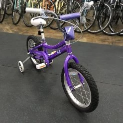 Fuji Rookie ST 16" Kids Bike - Violet 2021 | 16" Kids Bikes -Hot Sale Playtri -Tyler Store 9tqTMH5aMxY4TsZ4NEgHihzfQ