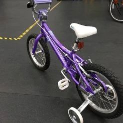 Fuji Rookie ST 16" Kids Bike - Violet 2021 | 16" Kids Bikes -Hot Sale Playtri -Tyler Store tOJRe4otkd4l93jBEcvjf c1I 1