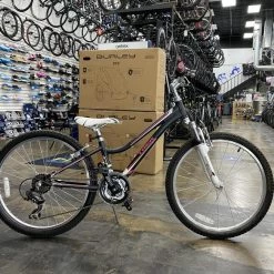 Trek MT Series | 24" Kids Bikes